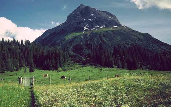 Appartamento Haus Gstueat Lech am Arlberg Esterno foto
